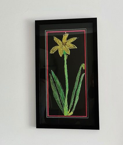 Daffodil