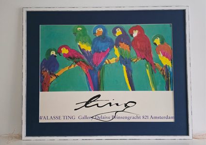 Parrots-425